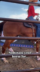 🏆 Apply for AQHA Awards 𝗲𝘅𝗰𝗹𝘂𝘀𝗶𝘃𝗲 𝗳𝗼𝗿 𝗡𝗛𝗦𝗥𝗔 𝗠𝗲𝗺𝗯𝗲𝗿𝘀! 🏆 AQHA Top Event Horse awards will be presented at both the NJHFR and NHSFR, along with the American Quarter Horse of the Year awards at state, provincial, and national finals. Nominate your favorites here ➡️ nhsra.com/aqha-horse-of-the-year/ | American Quarter Horse Association