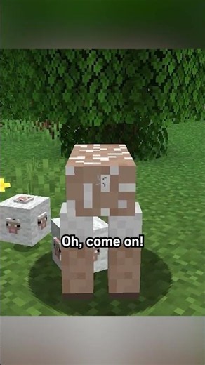 minecraft illegal edition