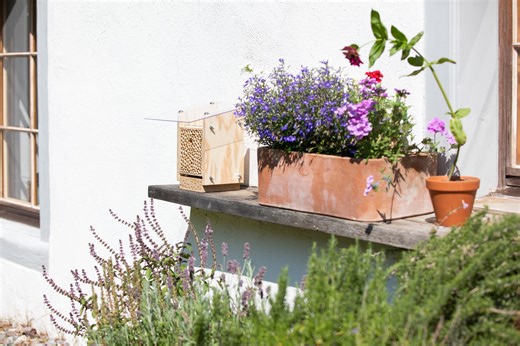 5 wild bee species that like to nest in the BeeHome in summer