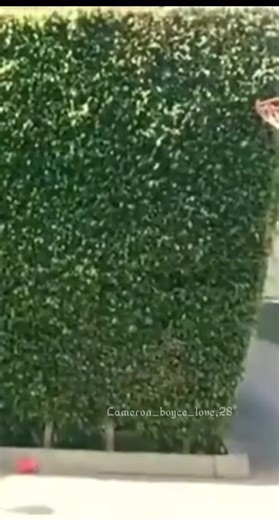 What about me?✨#ɕαмєяση_вσуɕє_ #cameronboyce #fyp #basketball #iloveyoudontforgetit #foryou #imissyou