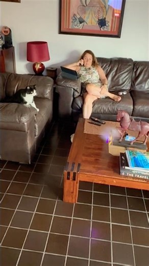 Cute cat vs remote control helicopter ! 🤣 #funny #experiment #cutecat #lol #cute