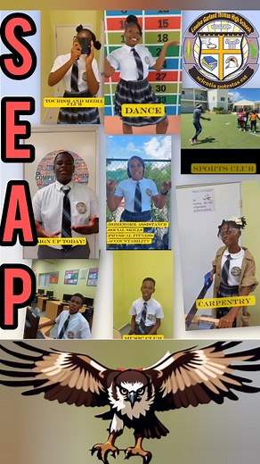 픏픬픲픦픰픢 픊픞픯픩픞픫픡 픗픥픬픪픞픰 ℌ픦픤픥 on Instagram: "Hey HAWKS looking for something Fun Rewarding Educational and Entertaining to do after school...well watch this and learn about all the amazing enrichment programs at our school. BE SURE TO get a sign up form from your Form Teacher or from the front office. #algths #alouisegarlandthomashighschool #wearehawks #ourchildrenareourfuture #seap"