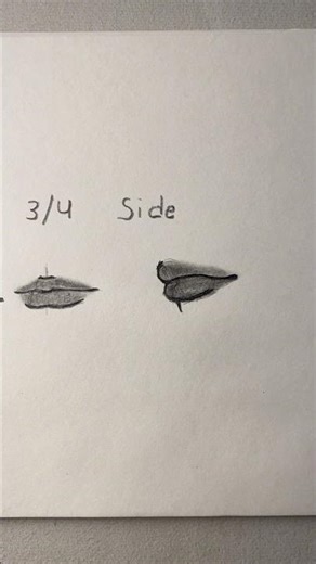 How to draw different angle of Lips