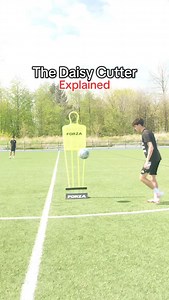 The Daisy Cutter 🌼 | ZTH Training