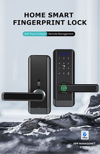 [Hot Item] Tuya or Ttlock APP Smart Door Lock for Home