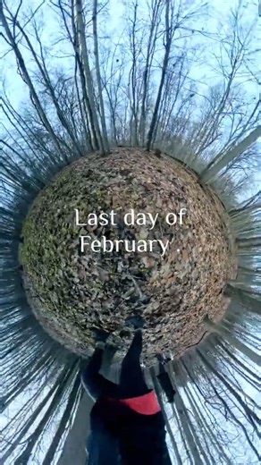 Last Day of February...Nature is Waking Up #horticulturist #winterwolfsbane #turfscientist