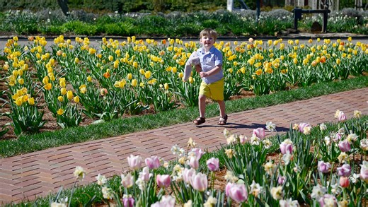 It is almost spring. Everything to know about the 2026 spring equinox