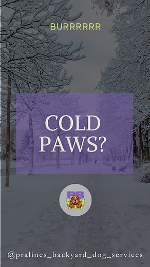 Use Paw Protection: Apply paw balm or wax before heading out to...