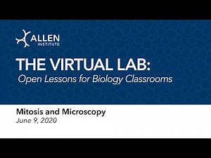 The Virtual Science Lab | Mitosis and Microscopy