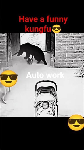 #foryou #love #funny #youtube angry 🐈