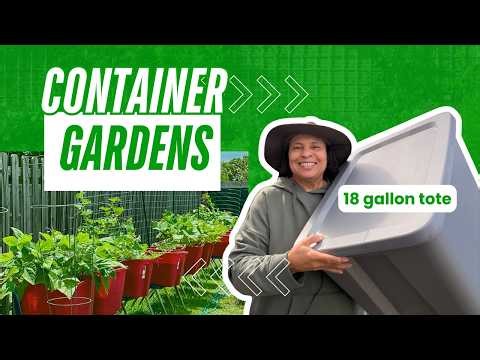 What crops to plant & How many to plant in 18-Gallon Totes to get the Best Vegetable Garden