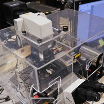 비디오: Laser Localized Psoralen Adducts의 단일분자 분석