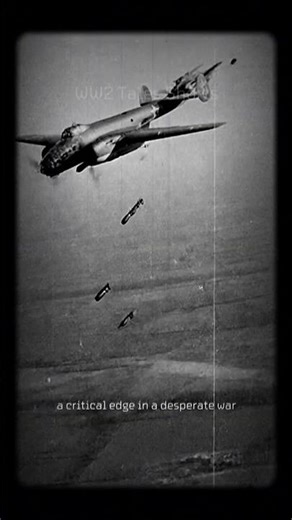 WW2 Petlyakov Pe-2 Documentary | The Fast Bomber That Struck from the Shadows