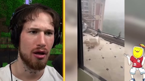 World's **RAREST** Discoveries