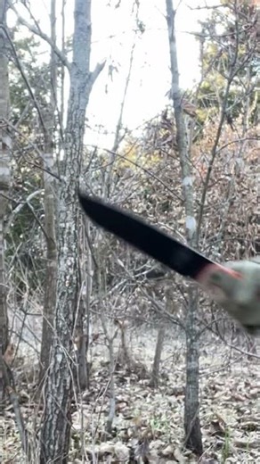 Esee Junglas VS a Tree #chopping #blade #knifereview #outdoors