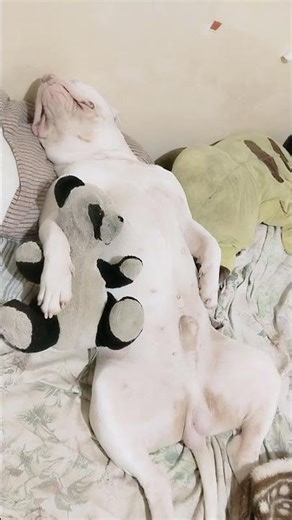 Ας κοιμηθώ κουραστικα που ξύπνησα