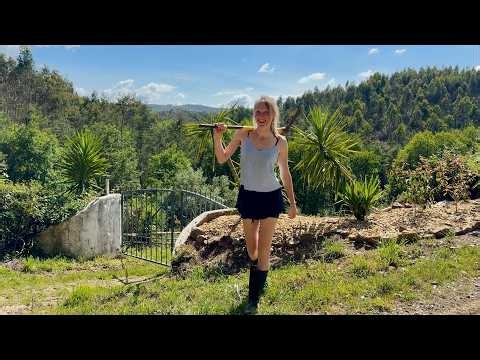 Three Women & One Pickaxe - Building Oasis on Off-Grid Homestead
