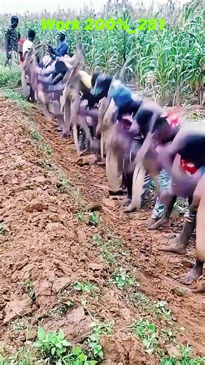 Enhance Your Working Skills for Greater Efficiency