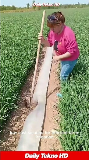 This Irrigation Method is GENIUS 💧 Watch how they control the water #IrrigationTechnique