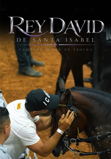 Rey David de Santa Isabel: campeón joven Trocha Feria de Flores 2026