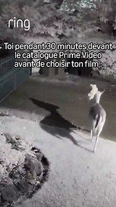 Un catalogue aussi long que le temps que tu mets pour faire ton choix.🥲 | Amazon.fr