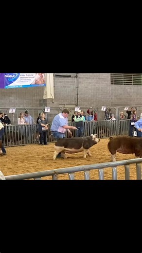 Holly Brint on Reels