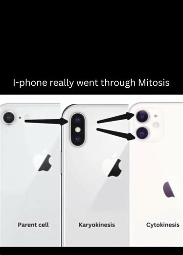 #alevelbiology #memes #biologyexplained #funny #mitosis #celldivision #science #sciencerevision