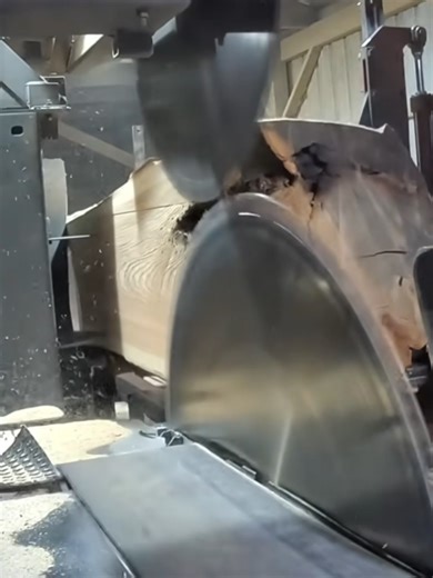 Incredible 42-Inch Red Oak Sawmill Cut