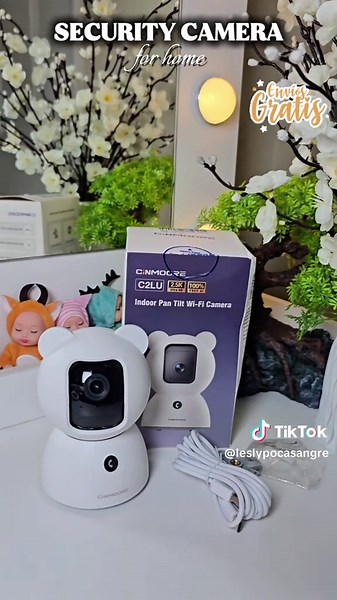 Enhancing Home Security with Cameras