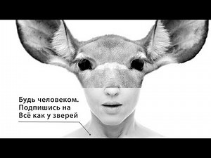 Be human, subscribe to Everything is like animals