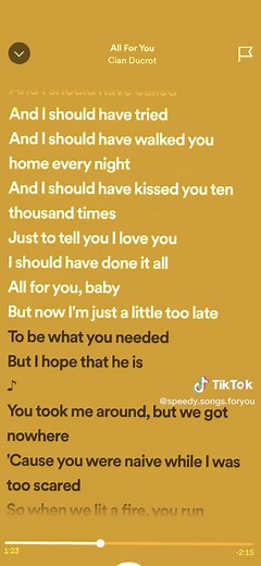 All For You - Cian Ducrot Song Sped Up Lyrics