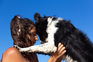 Vet reveals the top 5 emotionally intelligent dog breeds