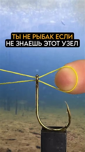 Ты не рыбак если видишь этот узел впервые #рыбалка #fishing #карась