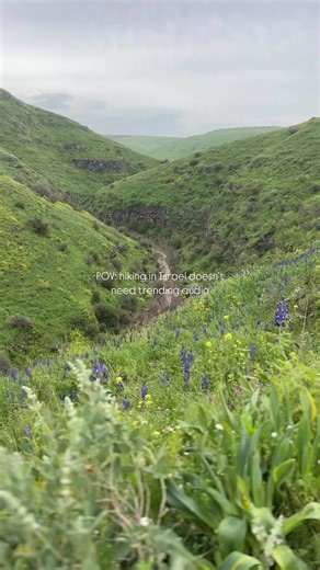 NAHAL TAVOR 🪻 Nahal Tavor is easily one of the most beautiful hikes to do in Israel, especially in the upcoming during the transition from winter to spring. At the start of spring the water is rushing and there are lupines blooming all along the trail. With how green it is, you’ll feel like you flew abroad or entered a fairytale forest. The park offers two circular hikes, a shorter more family friendly 3 km loop and a more challenging 8km hike. We chose the longer hike and finished in around 2.