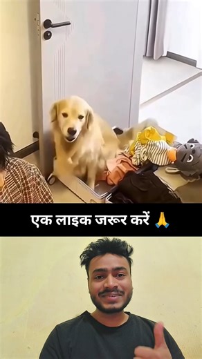 Dogesh bhai ki packing 🧳🥰 #emotational #shortsfeed #trending #baapbetayt