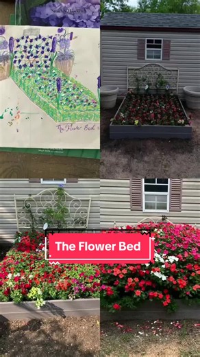 Flower Bed Journey: From Sketch to Zinnias (2025-2026)
