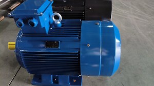 [Hot Item] 6 Pole AC Three Phase Asynchronous Electric Motor with ISO IEC ATEX Standard