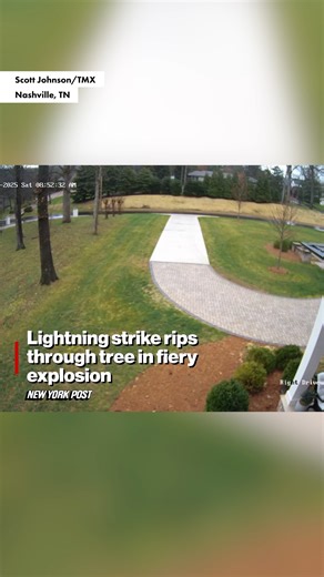 A tree in a Nashville neighborhood exploded after a bolt of lightning struck it recently, sending shards of bark and wood flying into the air. | New York Post