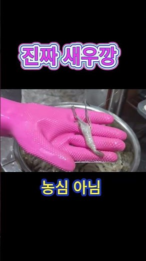 [실전 안주]진짜 생새우깡 만드는 법 #농심 #아님 #진짜 #새우깡
