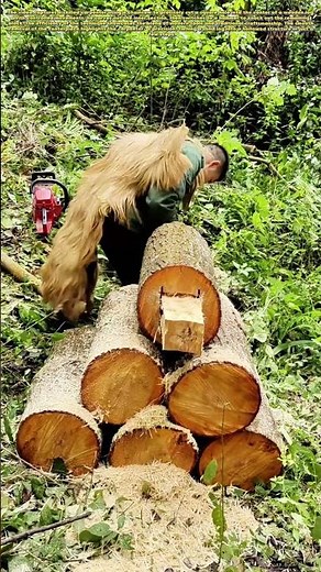 Woodworking Magic: The Clever Trick to Hollow Out a Log Like a Pro