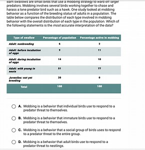 Barn swallows are small birds that use a mobbing strategy to wa... | Filo