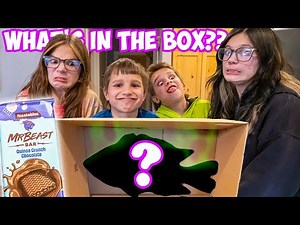 What's in the Box Challenge with MrBeast Feastables!