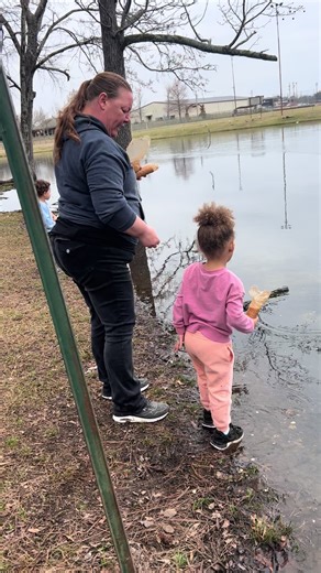 Part 2 of kids feeding the fish and goose/ducks #toddlermom #feedingfish #fyp #kids #relateable follow us to keep updated with the cook family