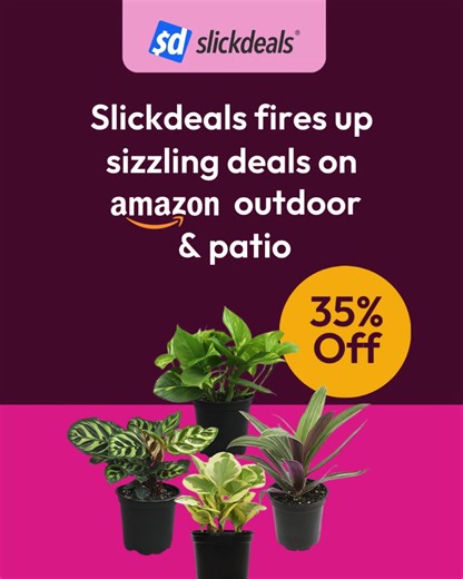 💥 Hot Amazon Discounts on Slickdeals — Grab Them Fast | Slickdeals