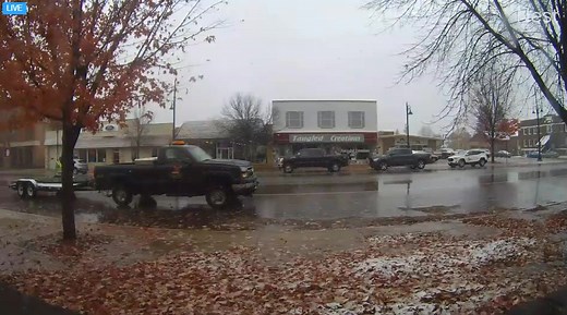 The Newberry News webcam captured the snowflakes falling and accumulating on the leaves in downtown Newberry this morning. | Great Lakes Weather & Climate
