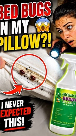 I Took Off My Pillowcase… And Found Bed Bugs