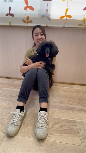 膝にフィットして離れたくないワン🐶 #20260729おうちホテル#ペットホテル#ケージフリー#静岡県袋井市 #ワンコくワークス#大型犬#小型犬#中型犬#犬のいる暮らし#イヌバーシティ