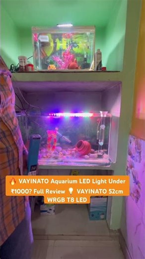 🐠 VAYINATO Aquarium Light Review 🔥 52cm WRGB T8 LED | Aquarium Light Under ₹1000!