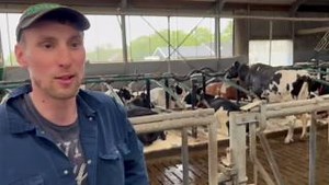11K views · 174 reactions | Gate signals…. Cows are smart! More tips? cowsignals online program: https://www.cowsignals.com/en/online_courses/cowsignals | CowSignals Training Company | Facebook