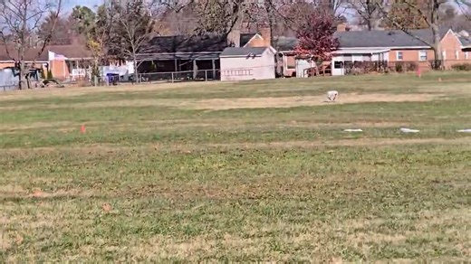 Amelia Johnson on Reels